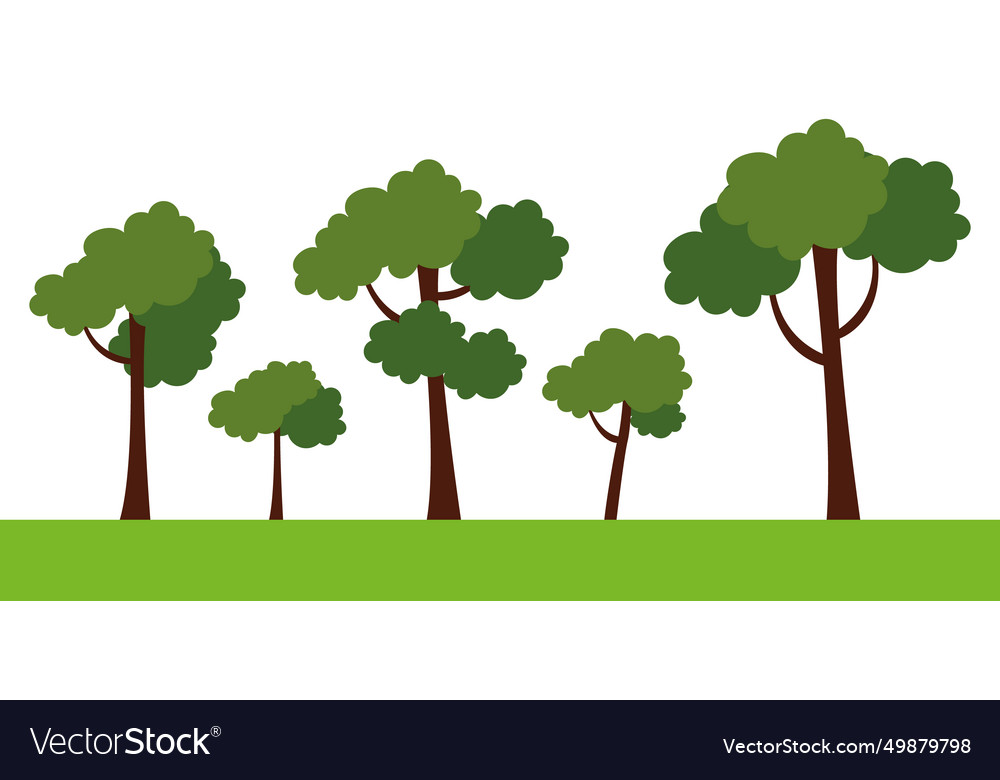 Trees group isolated over white forest concept Vector Image