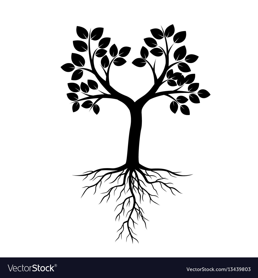 Black tree and roots Royalty Free Vector Image