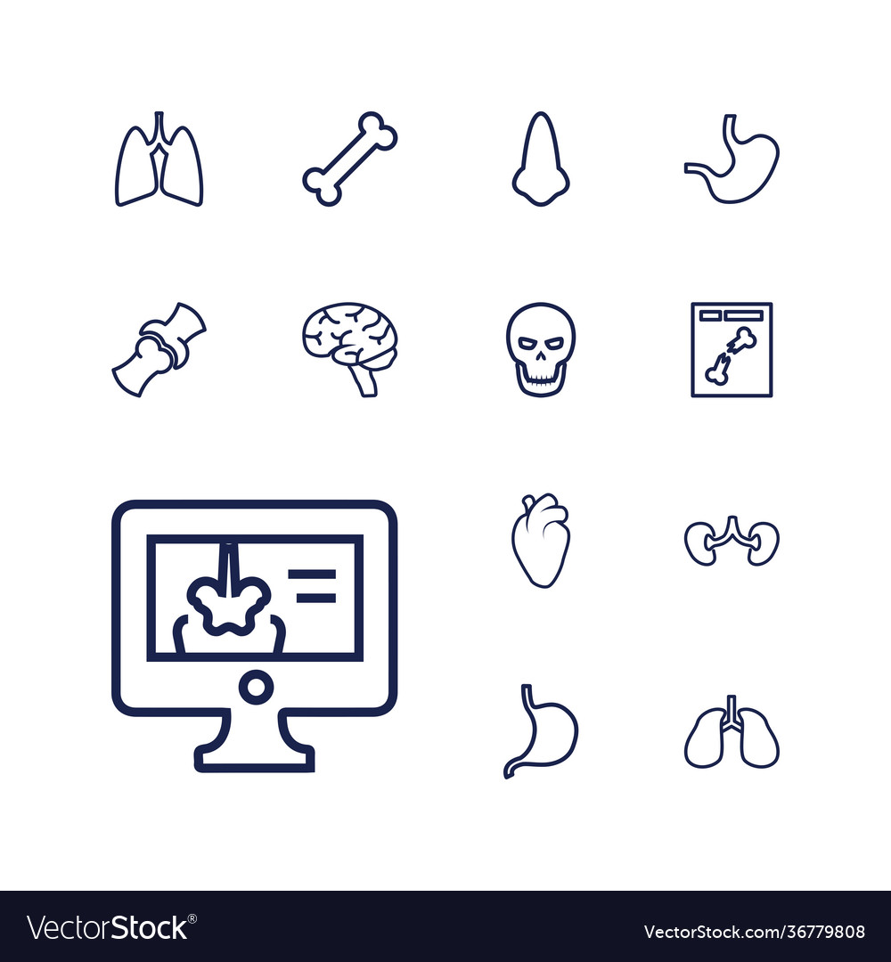 13 anatomy icons