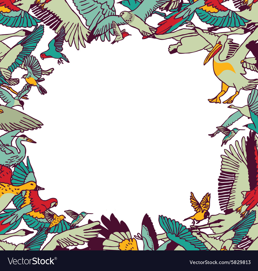 Fly birds frame border color isolate on white Vector Image