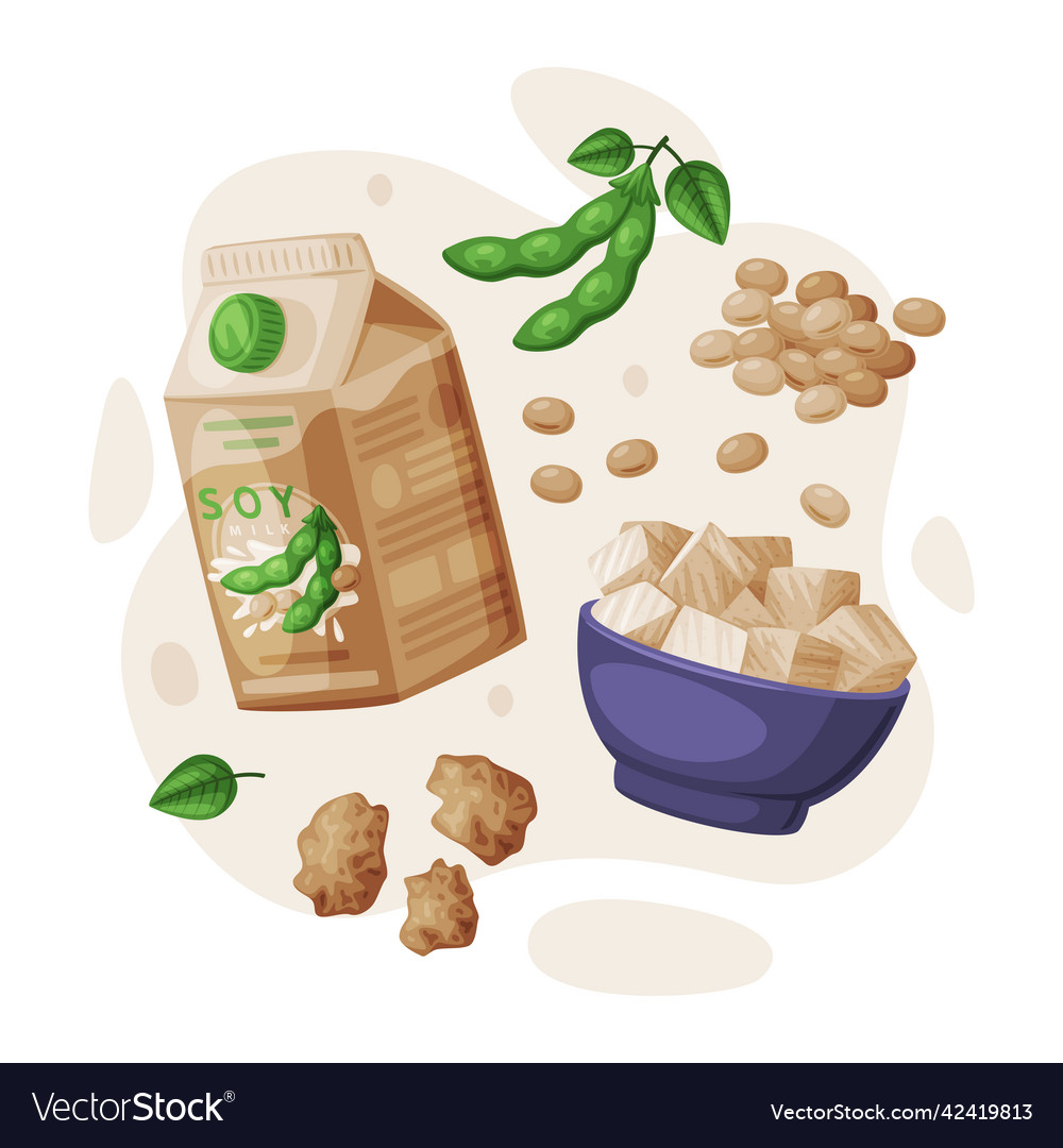 Natural soy products from soybean plant with tofu