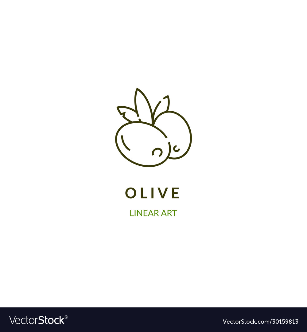 Olive branch in linear style