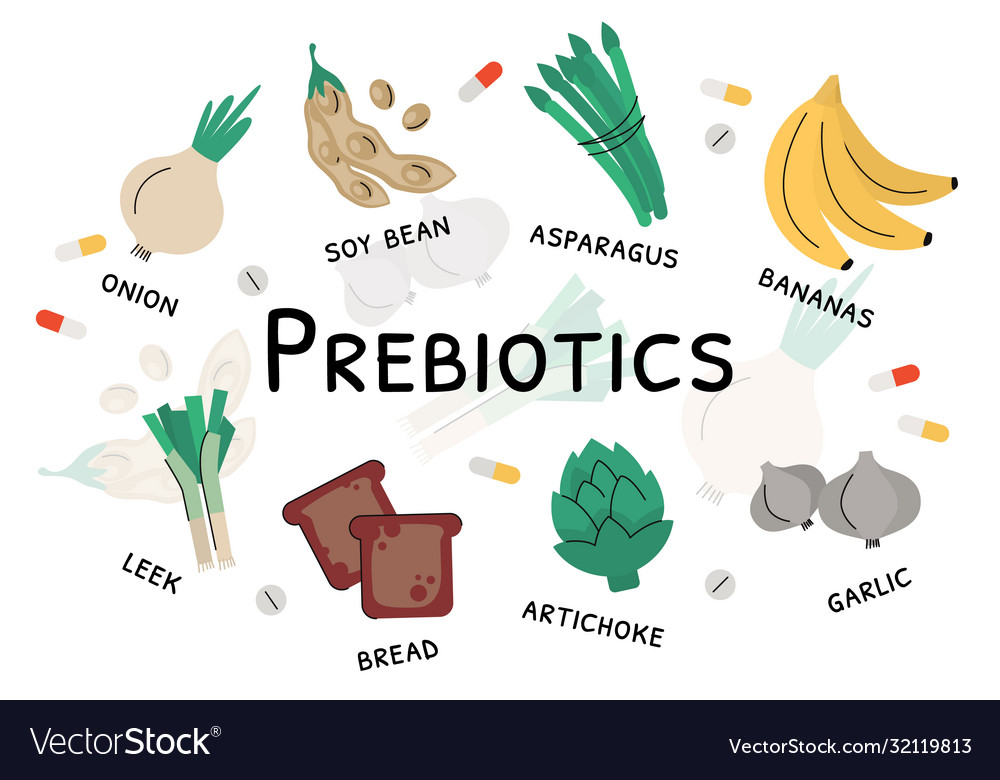 Prebiotic bacteria products and nutrient rich food