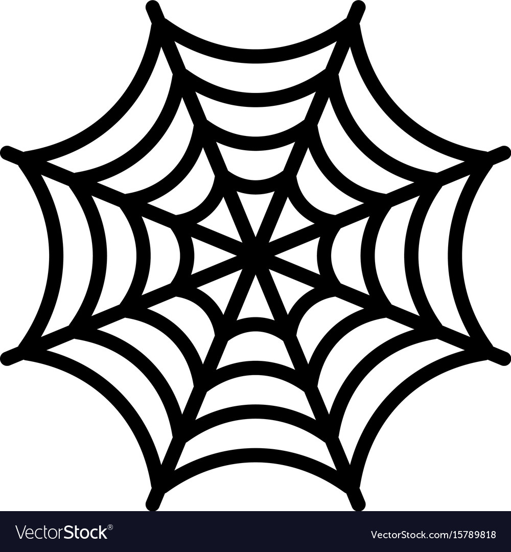 Spider web Royalty Free Vector Image - VectorStock