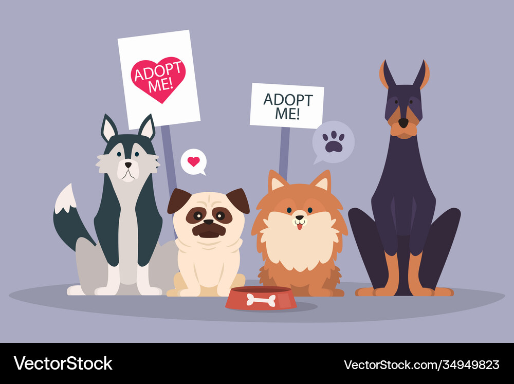 Adopt a pet concept Royalty Free Vector Image - VectorStock
