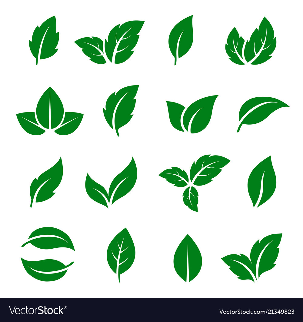 Set of green leaf icons Royalty Free Vector Image