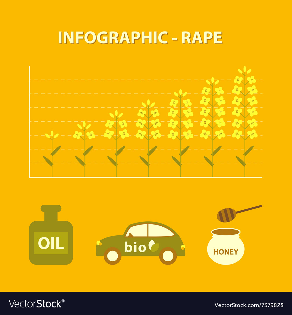 Growing production infographic with icon plant