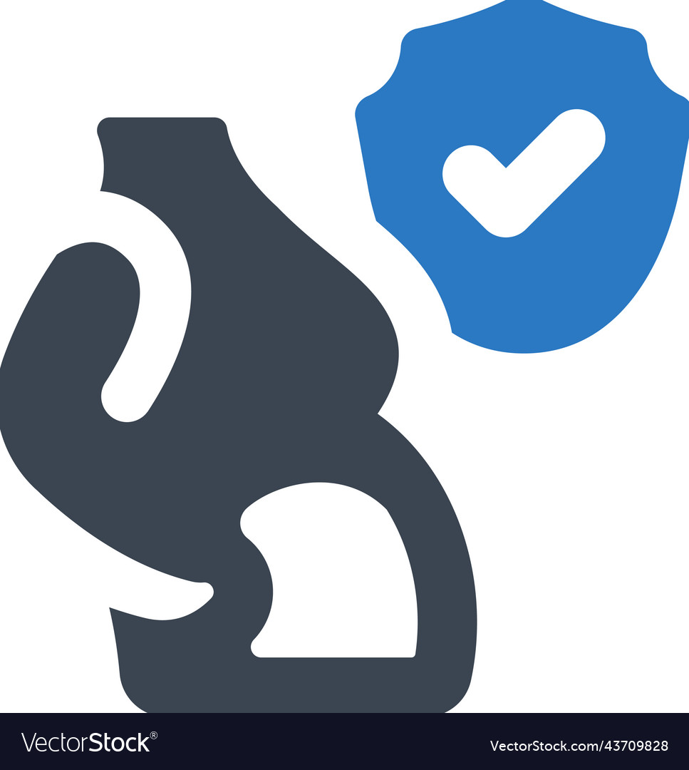 Pregnancy insurance icon