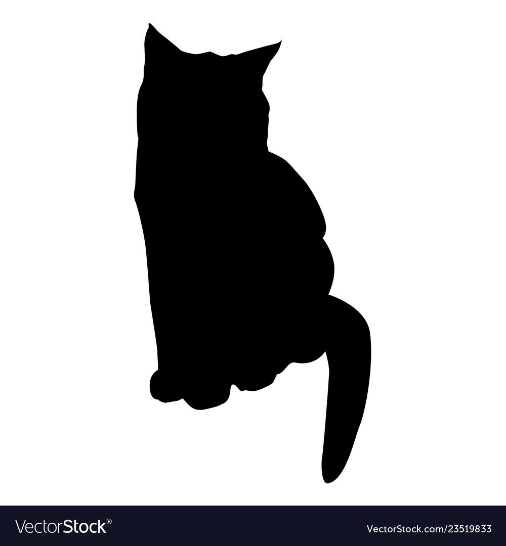 Katze schwarz silhouette auf weiß