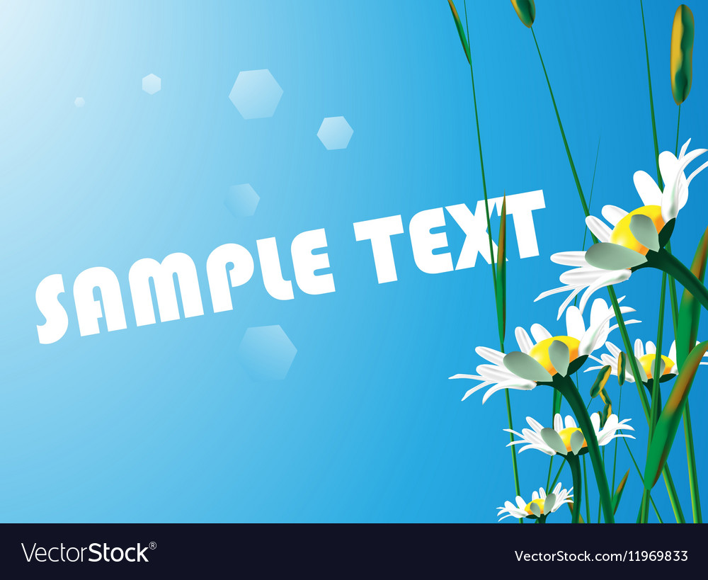 Sunflower backdrop with text space