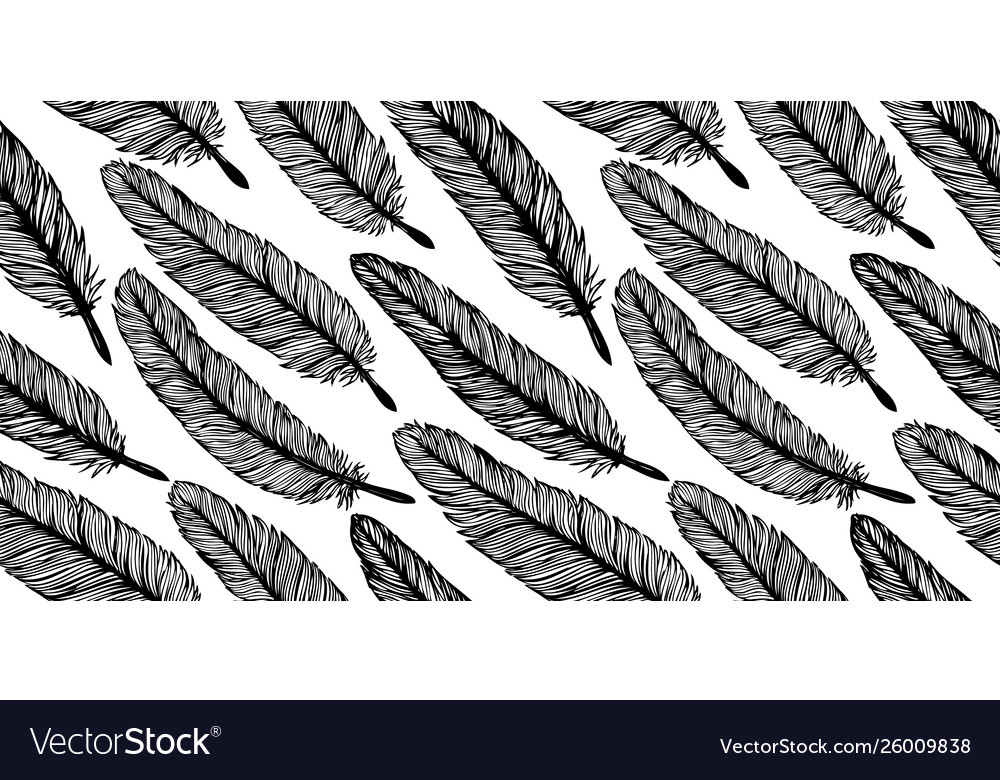 Feather seamless pattern Vector Image Feather seamless pattern