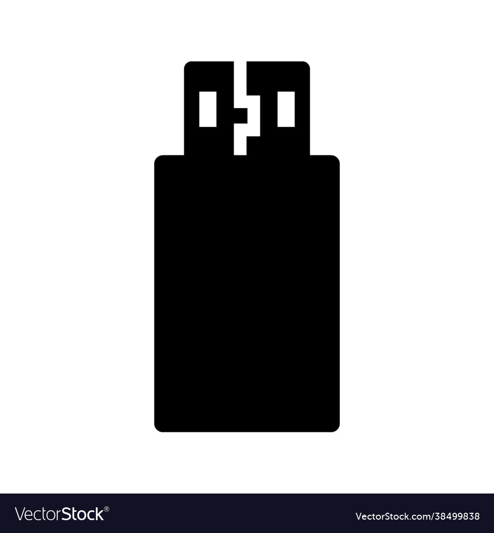 Flash disk icon vector image Flash disk icon