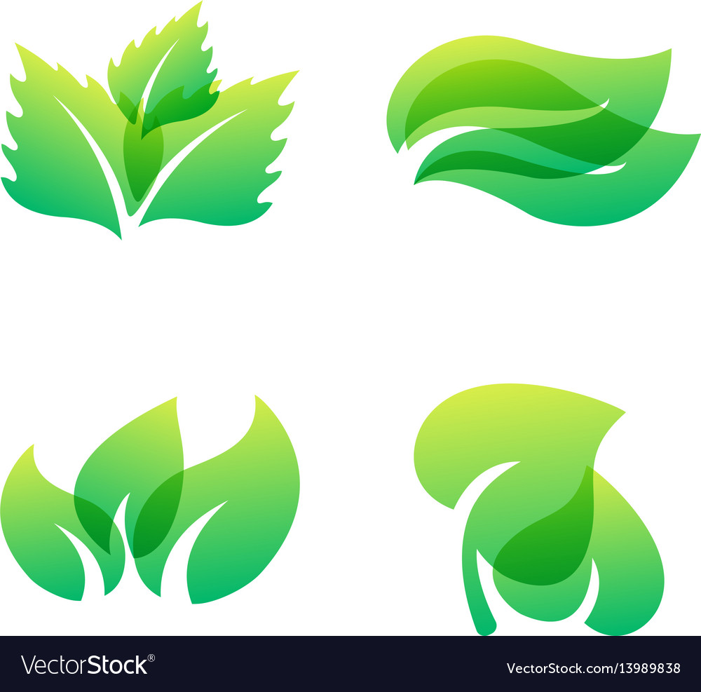 Green leaf eco design friendly nature elegance