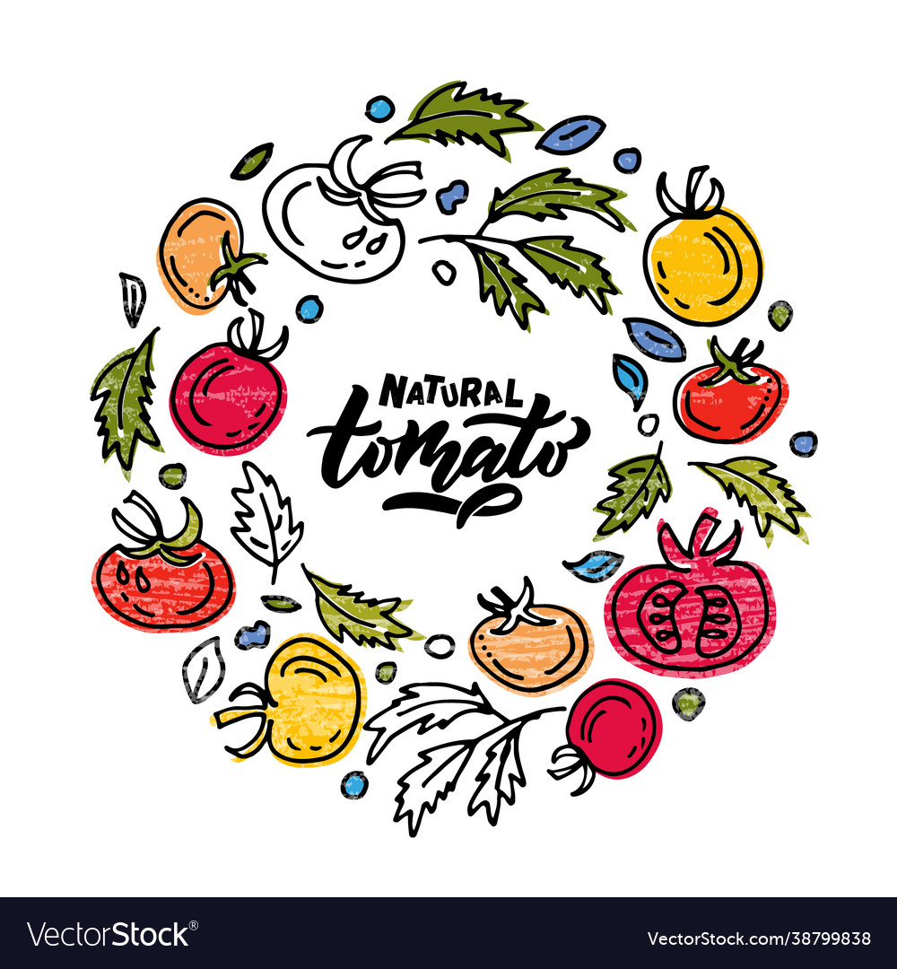 Hand sketched tomato product lettering typography