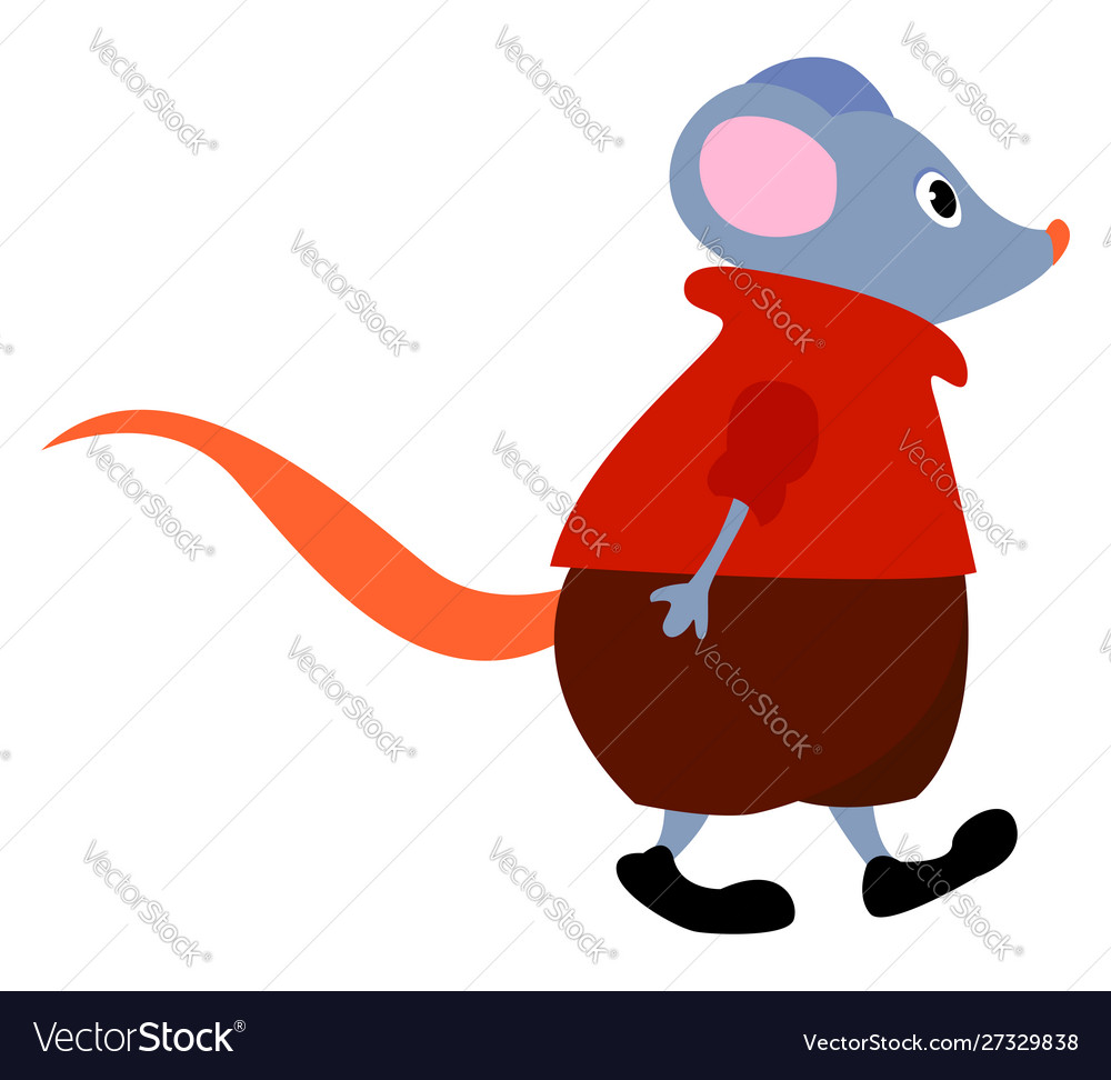 Mouse with sweater on white background