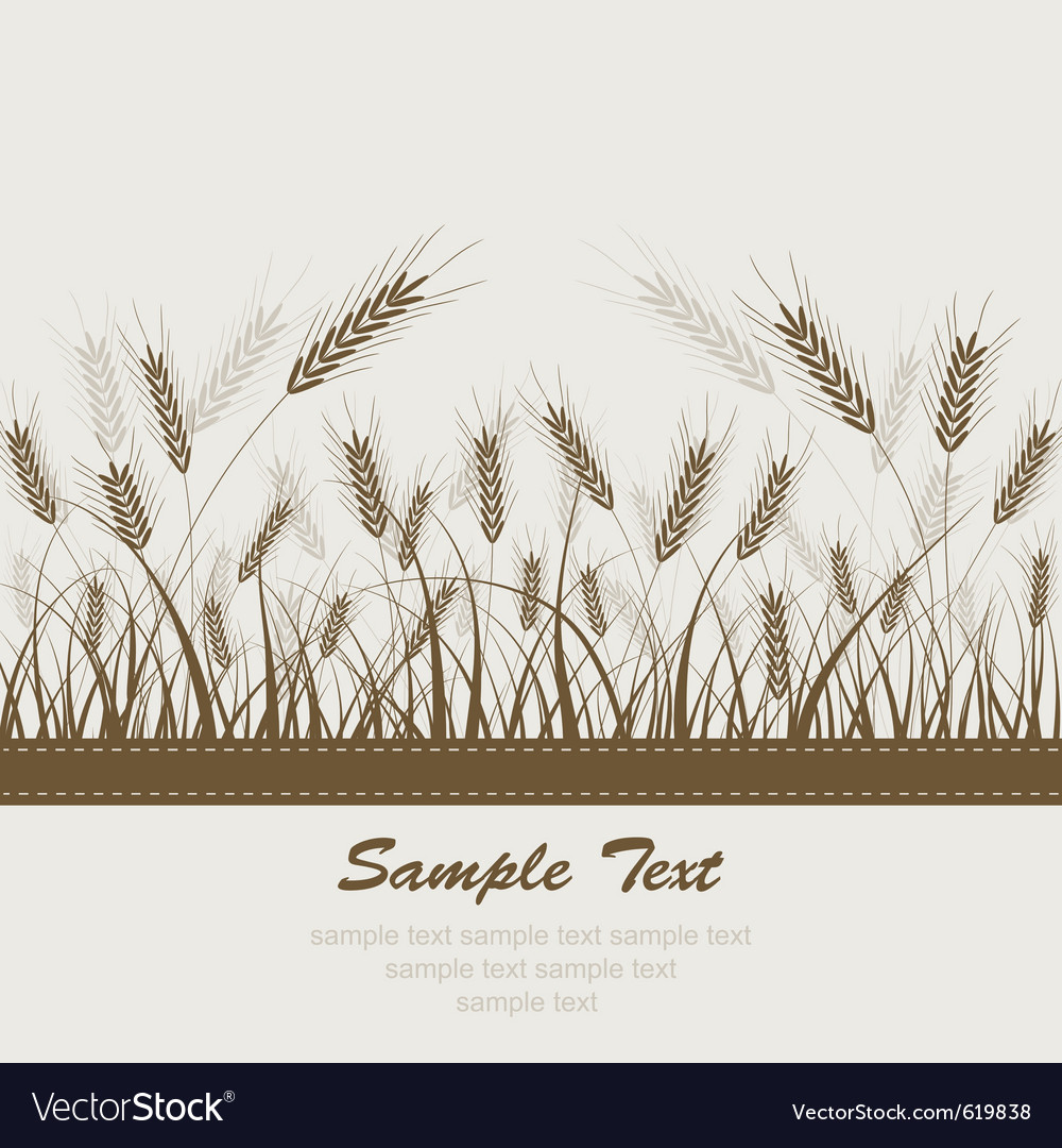 Wheat Field Background