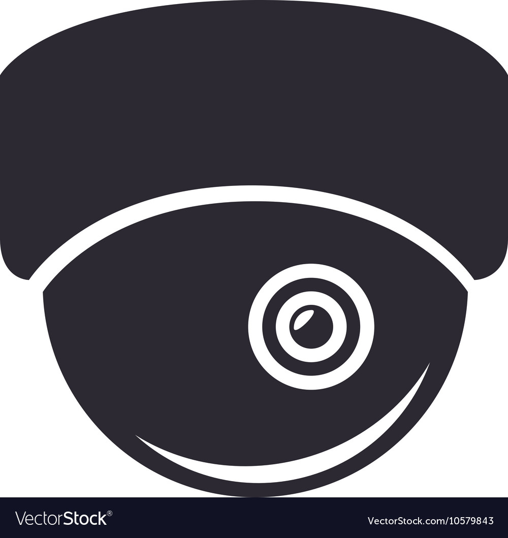 Camera security system