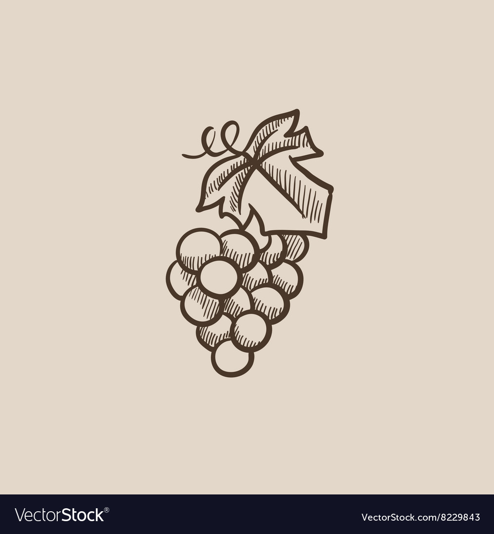 Grape sketch icon
