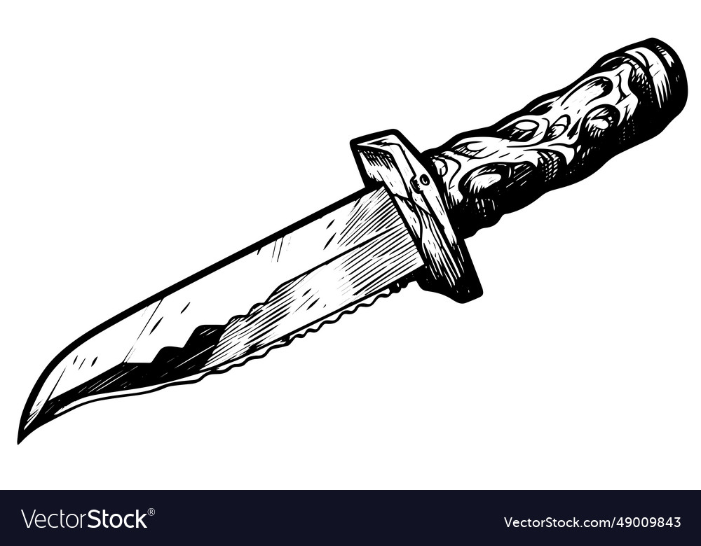 Knife hand drawn ink sketch engraved style Vector Image