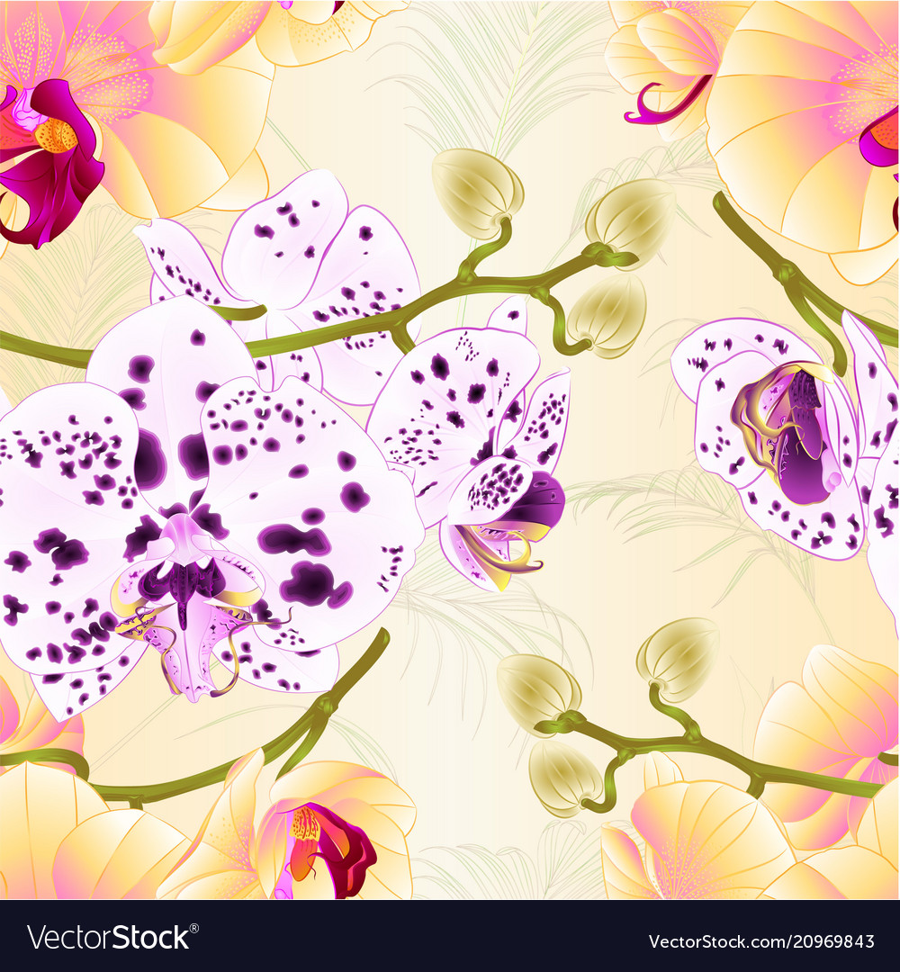 Orchid Branch Seamless Texture