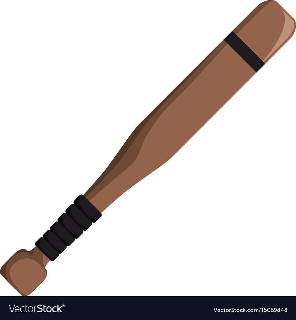 Baseball bat equipment