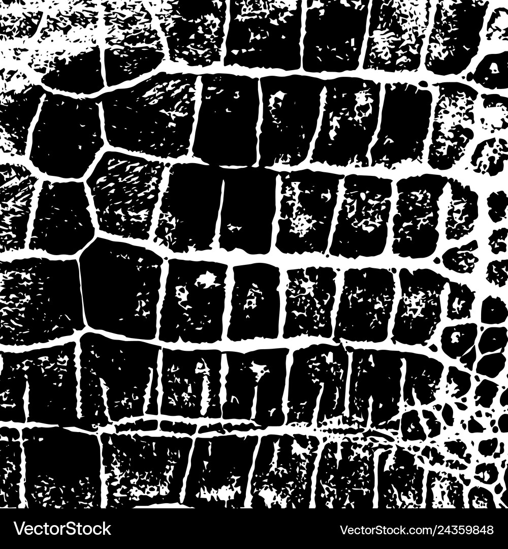 Crocodile Skin Texture Royalty Free Vector Image
