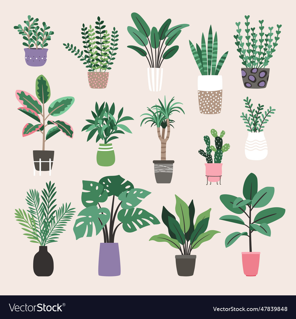 Houseplants in trendy hygge style collection