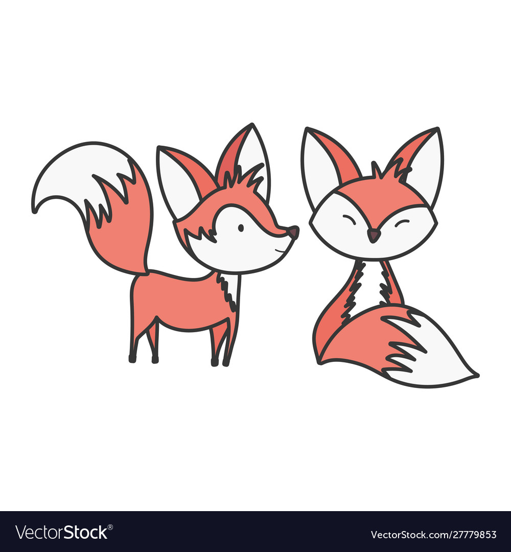 Cute foxes cartoon animals on white background