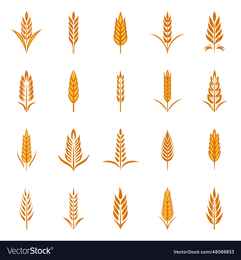 Flat agriculture wheat icon set isolated Vector Image