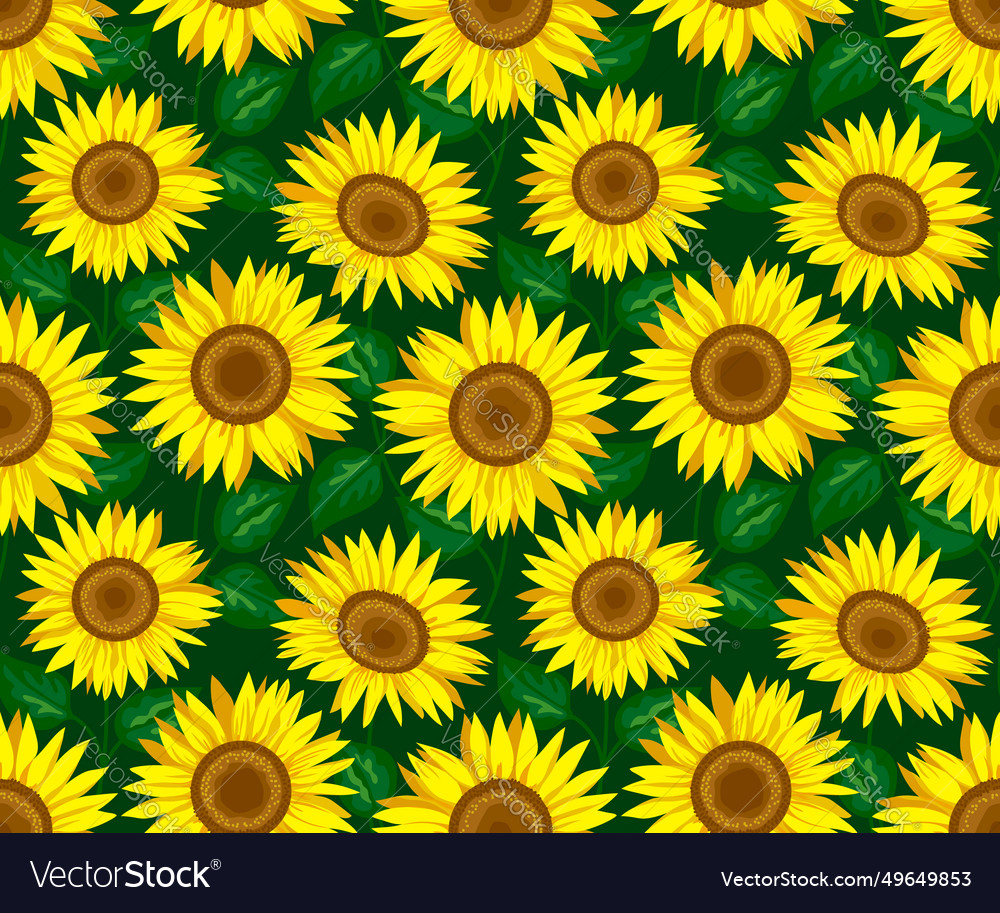 Sunflower seamless pattern on a dark green