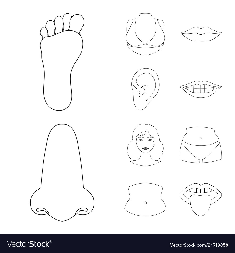 Design of body and part icon set vector image Design of body and part icon set