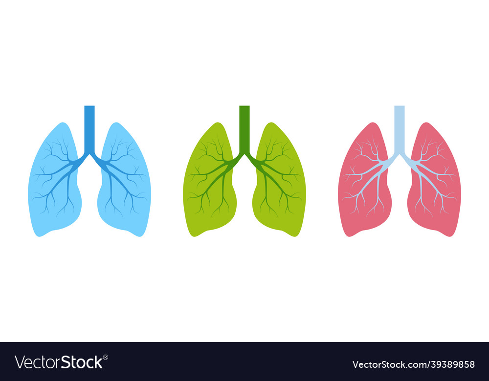 Lung human icon respiratory system healthy lungs Vector Image