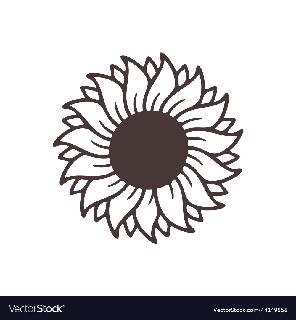 Yellow sunflowers bloom in spring for decorating Vector Image