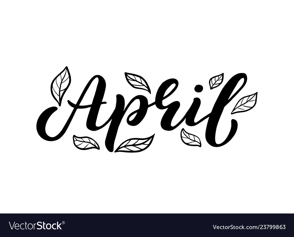 Hand sketched spring text vector image Hand sketched spring text