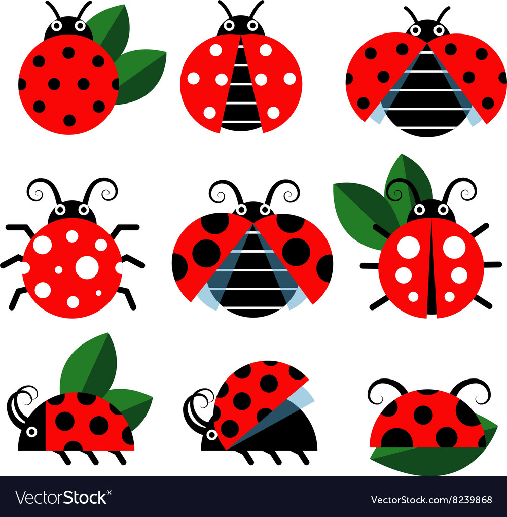 Cute ladybug Royalty Free Vector Image - VectorStock