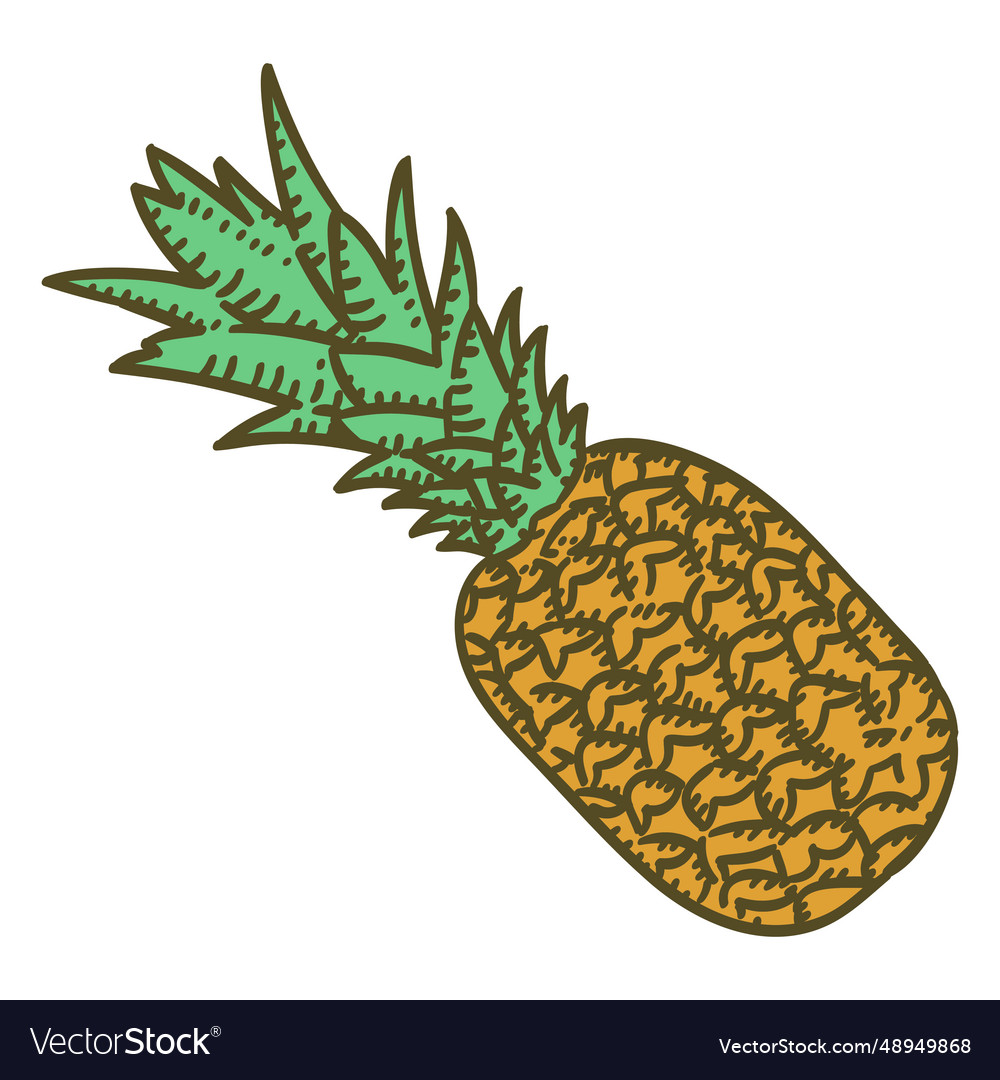 Pineapple ingredient color stroke Vector Image Pineapple ingredient color stroke