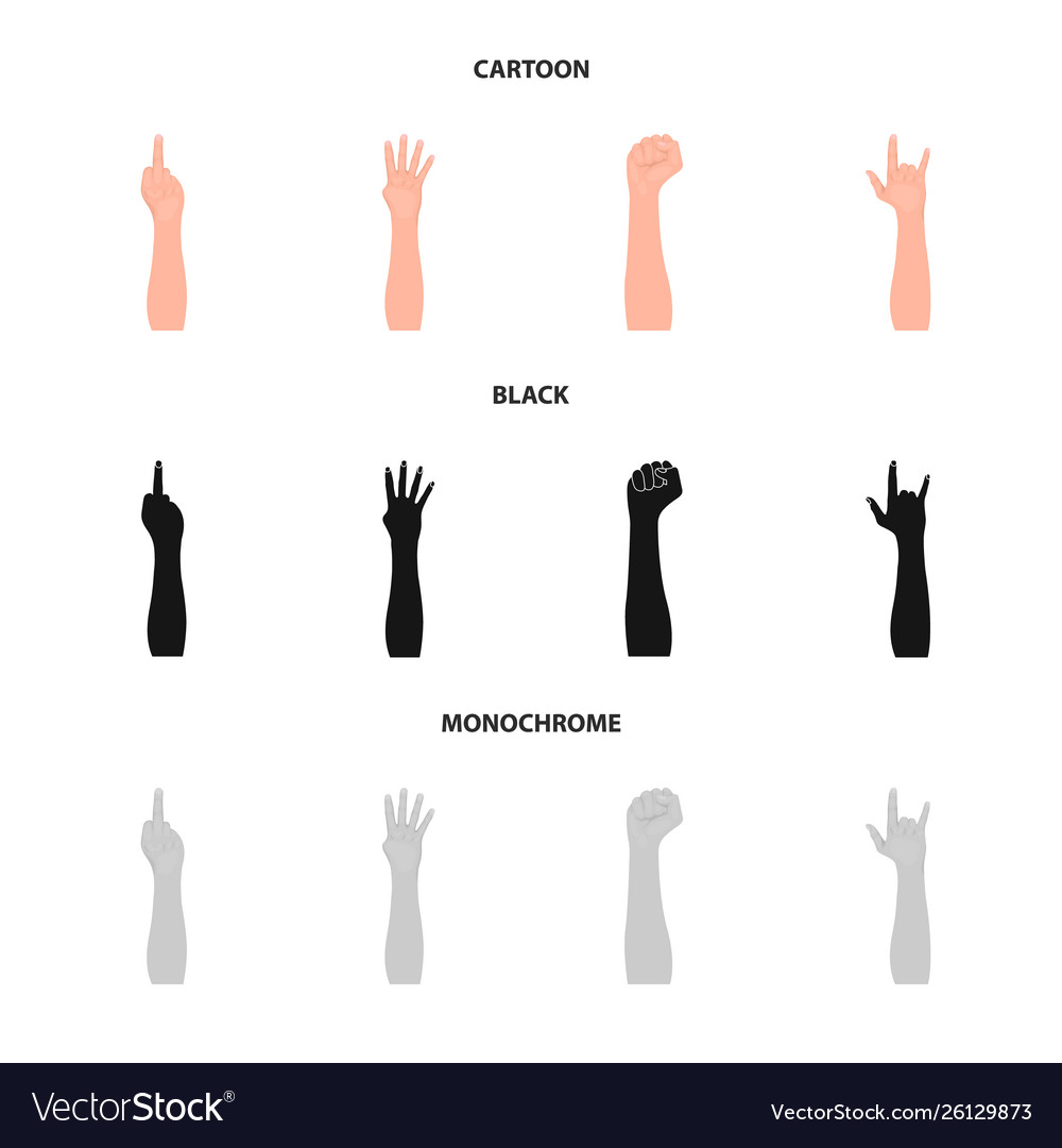 Isolated object and animated symbol collection