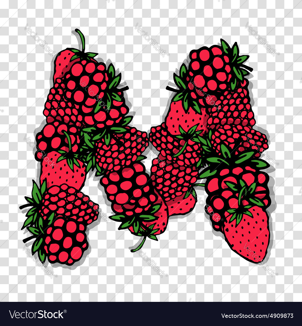 Letter m made from red berries sketch for your Vector Image