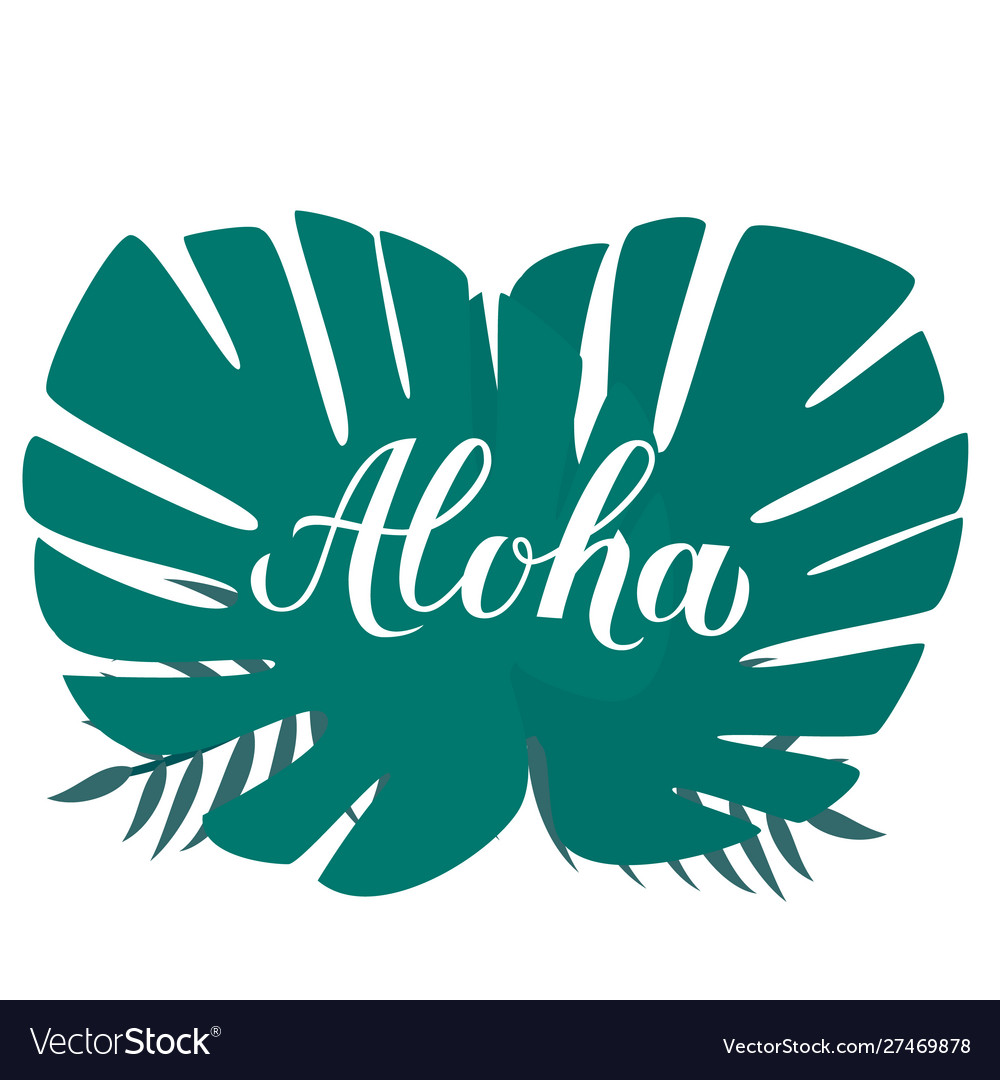 Aloha calligraphy brush lettering and palm leaves Vector Image