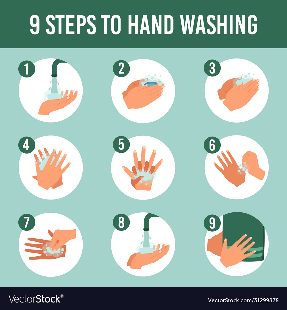 Hands wash infographic healthcare personal Vector Image