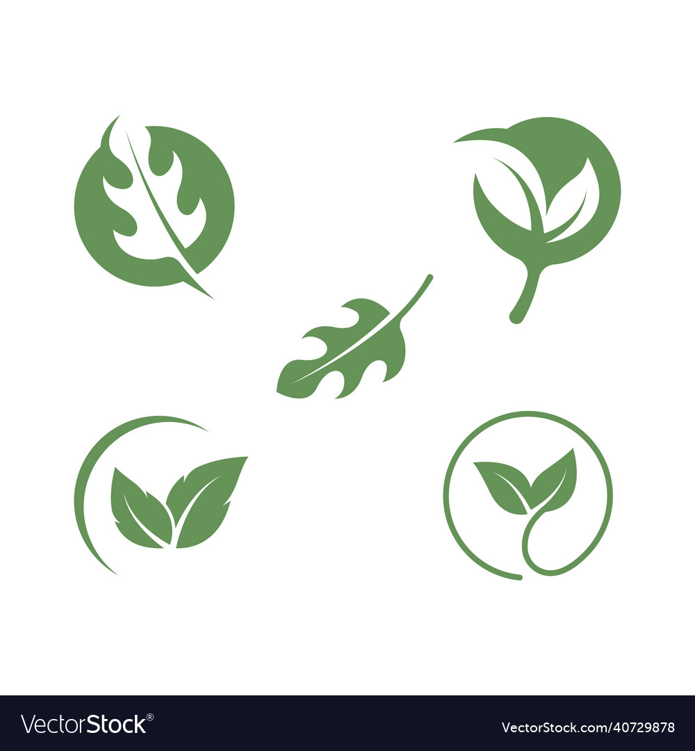 Organic leaves icon design template