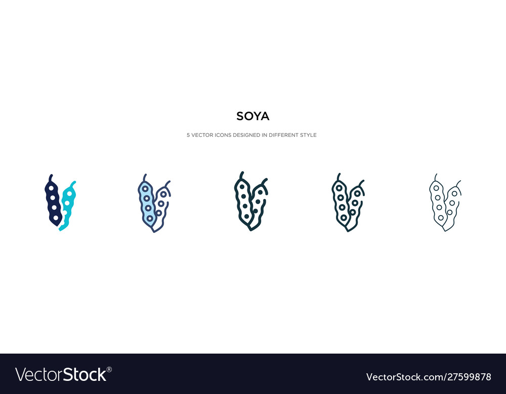 Soya icon in different style two colored