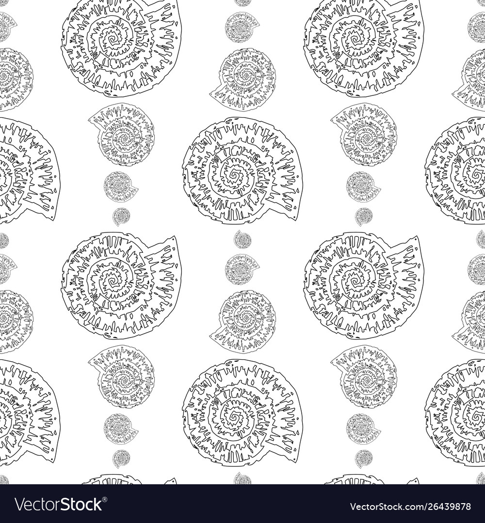 Stylized Nautilus Shell Pattern