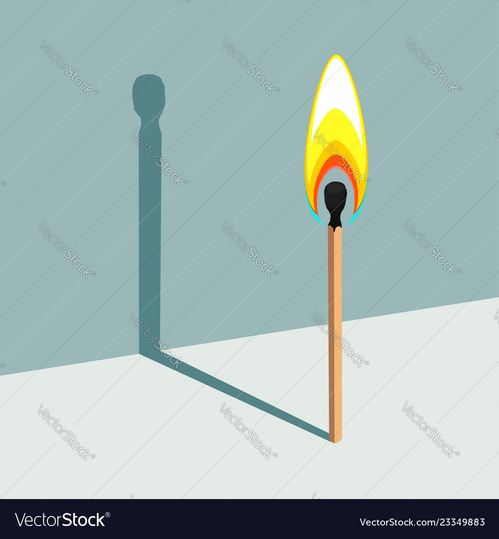 Flame Has No Shadow Burning Match And Its Shadow Vector Image