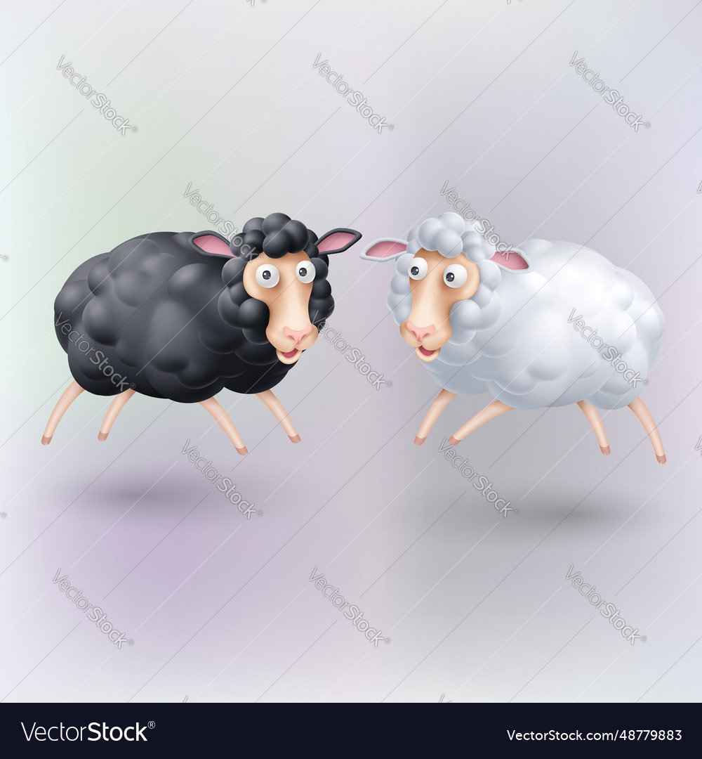 Sheep