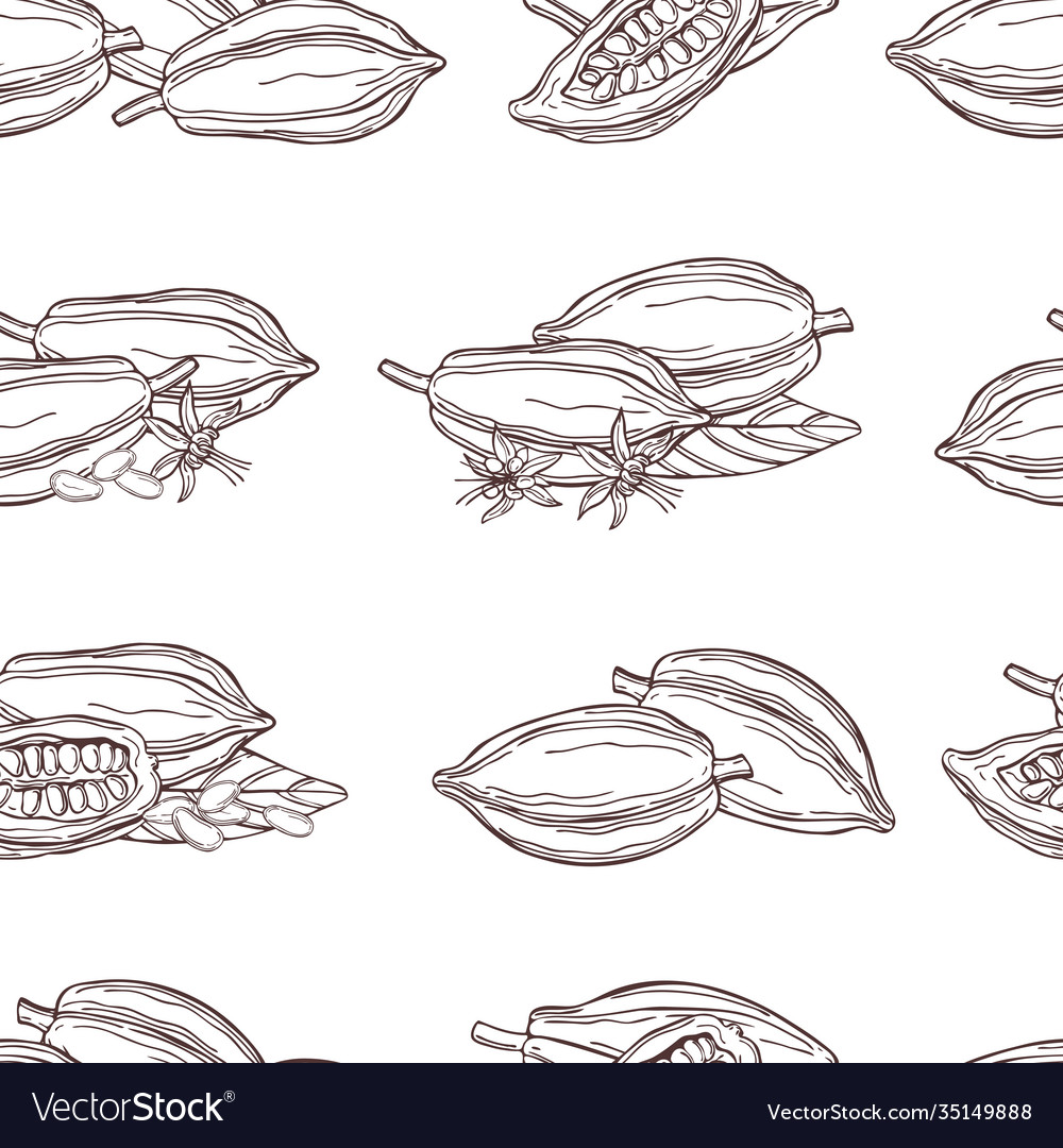 Cocoa bean pattern Vector Image Cocoa bean pattern