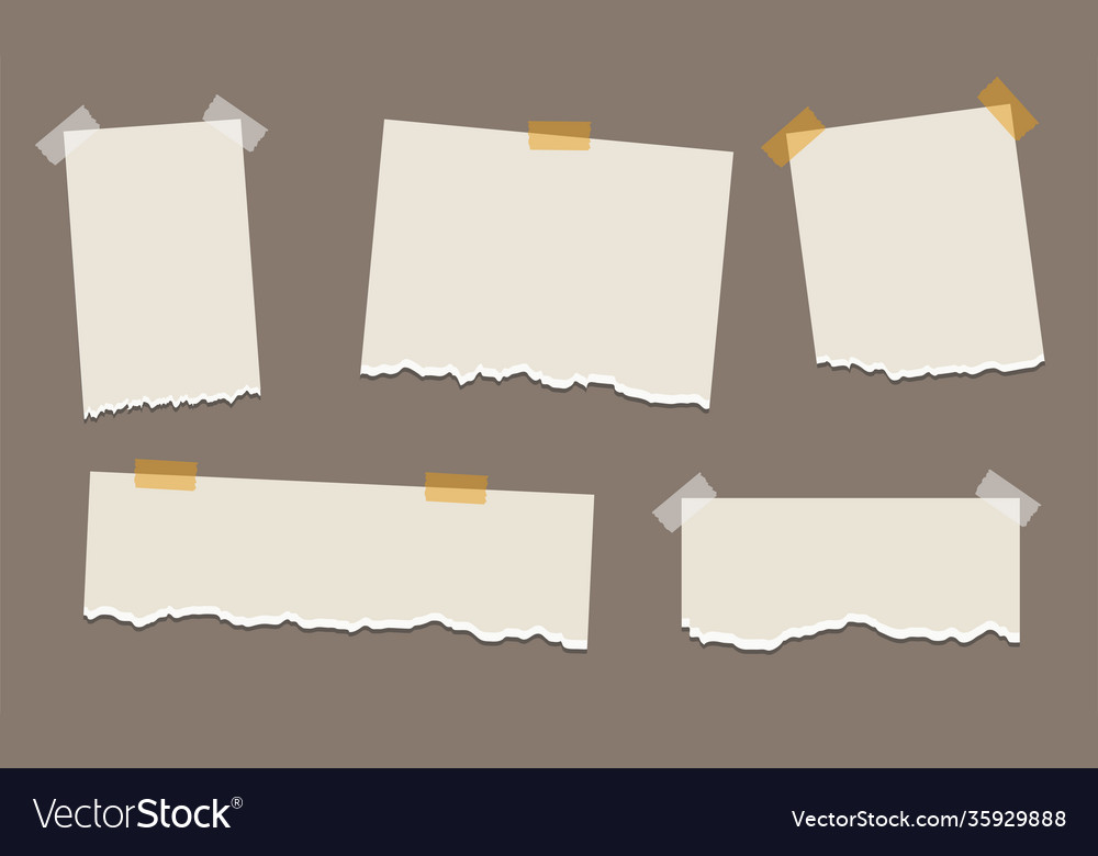 Pack Torn Paper Various Shapes Royalty Free Vector Image