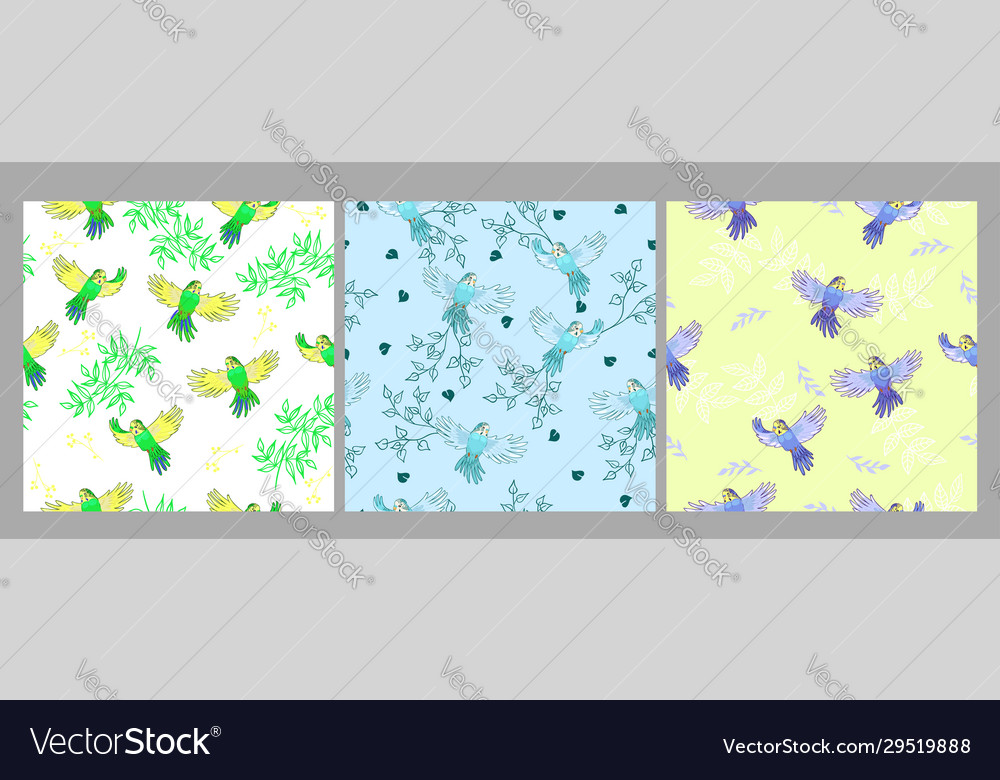 Set seamless patterns with budgies graphics