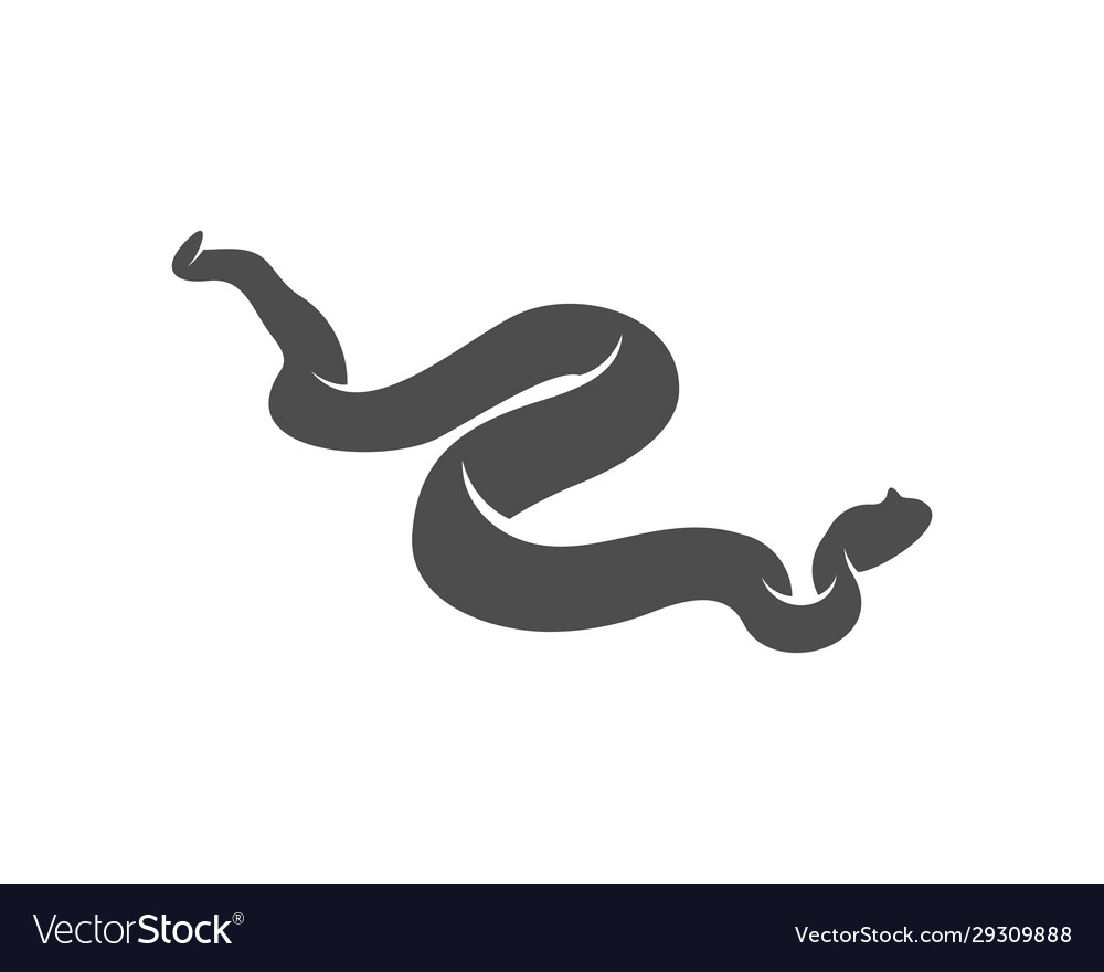 Viper snake logo design animal graphic Royalty Free Vector