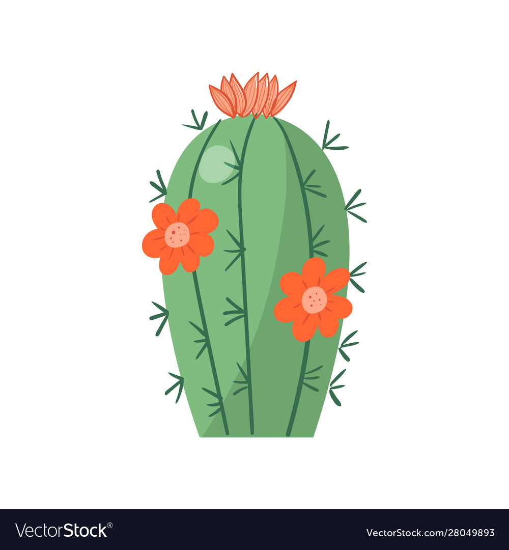 Cartoon cactus bright cacti colored